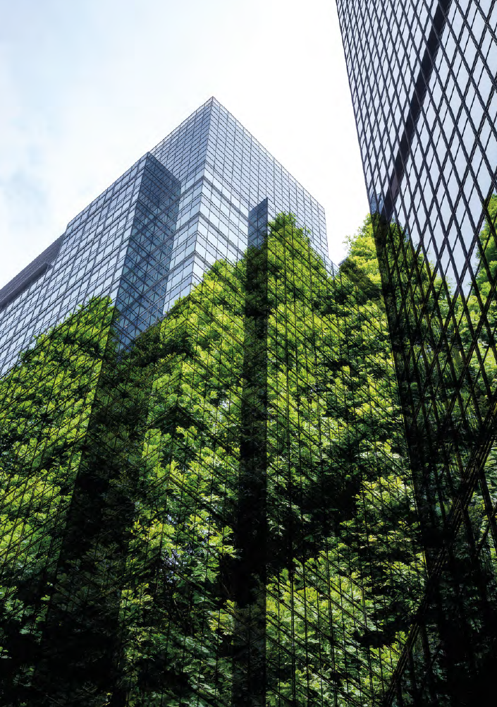 Standing Firm on Sustainability