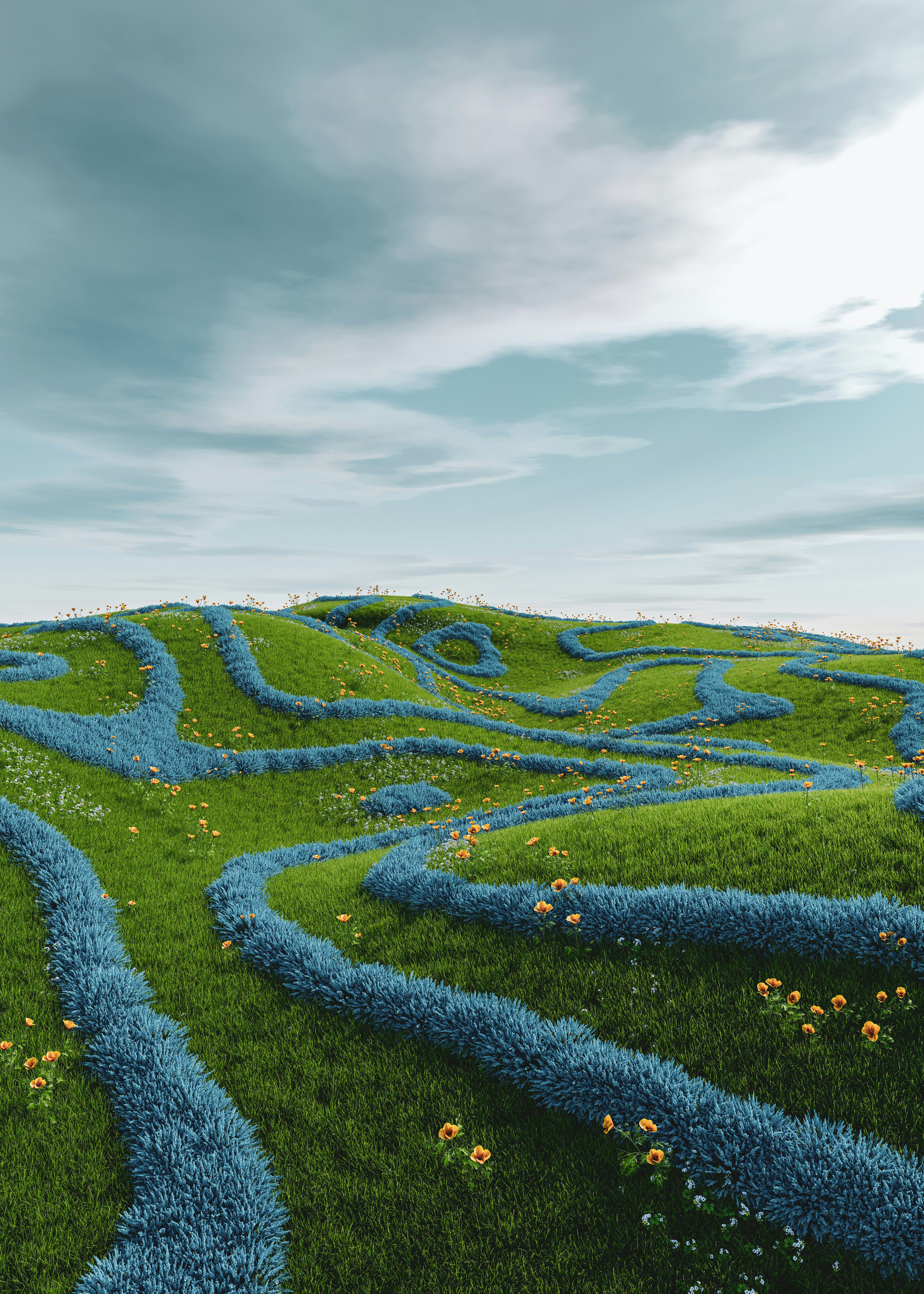 Blue Bird: Building the Right Path