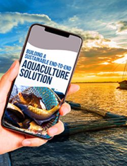 Building a Sustainable End-to-End Aquaculture Solution