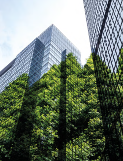 Standing Firm on Sustainability