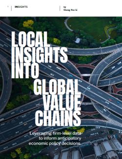 Local Insights into Global Value Chains