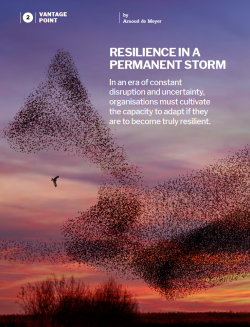 Resilience In a Permanent Storm