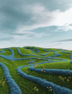 Blue Bird: Building the Right Path