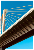 Purposeful Engagement: How Supervisor Support Drives Sustainability Outcomes