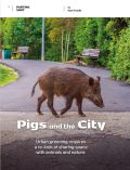 Pigs and the City Pigs and the City