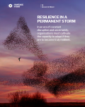 Resilience In a Permanent Storm