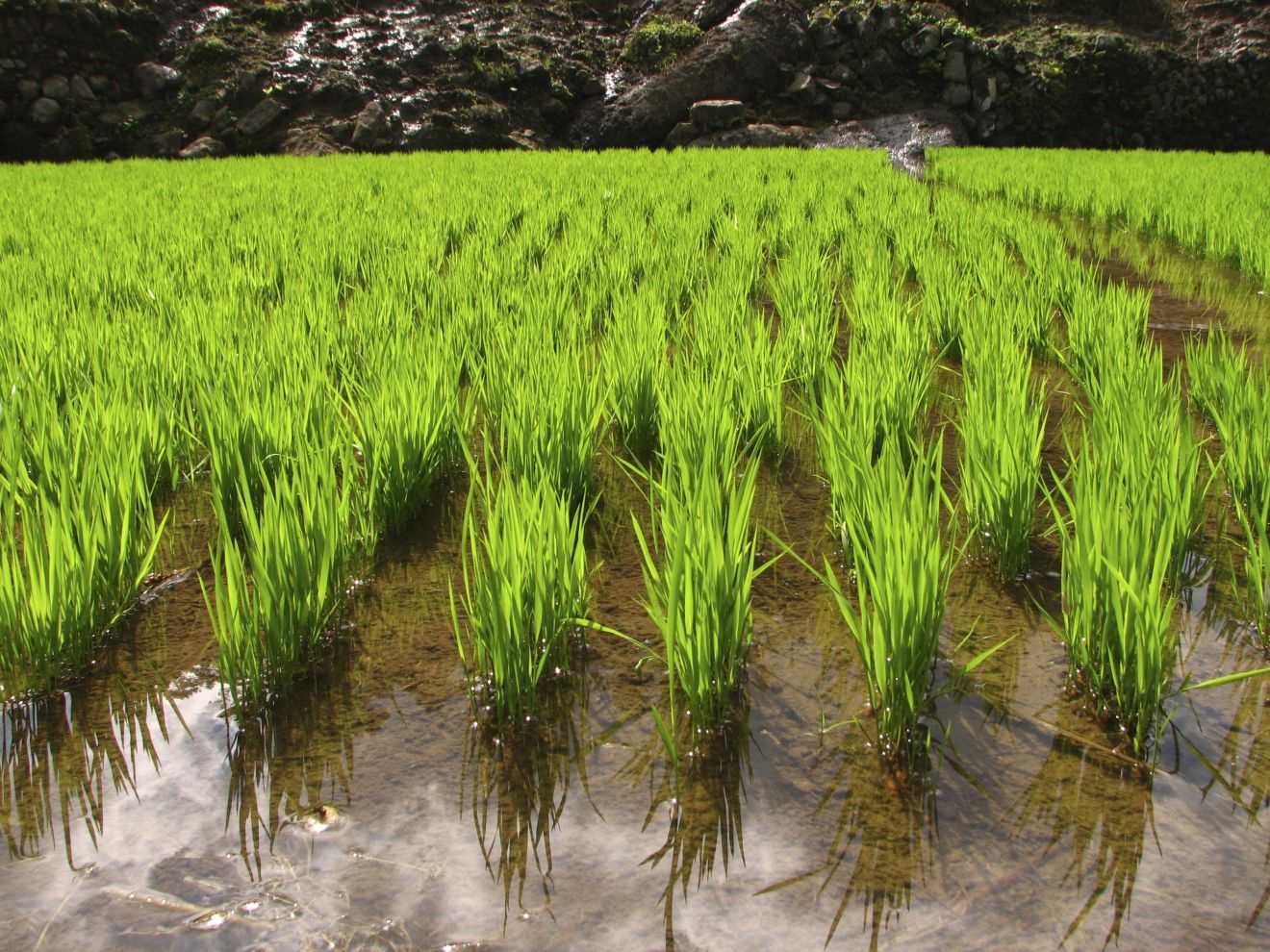 As the world turns: The wealth of nations in the 21st century